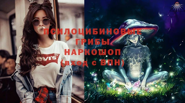 2c-b Кинешма